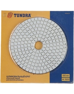 Шлифовальный круг Tundra Черепашка / 5099274