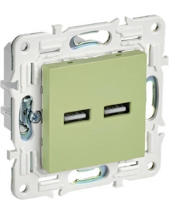 Розетка IEK Skandy SK-U21-D31-K06 Iek