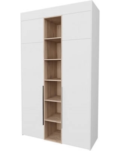 Шкаф Рэйгрупп Рэй S262-В5-EBЕ В5