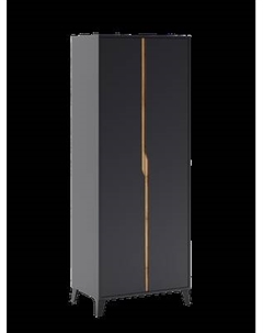 Шкаф Eligard Eyva 2D