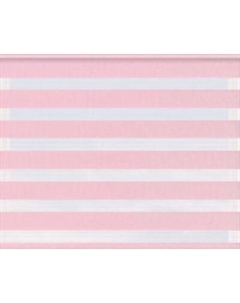 Рулонная штора Jalux День-Ночь Софт bh 10 48x160