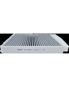 Салонный фильтр BIG Filter GB-9858/C Big filter