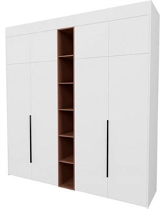 Шкаф Рэйгрупп Рэй S262-В10-2-EBL В10-2