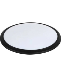 Потолочный светильник Leek CLL Alanta 50W / LE061211-006