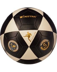 Футбольный мяч Winstar WN11001