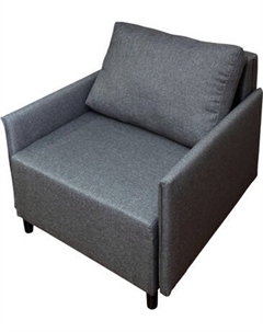 Кресло-кровать Домовой Визит-3 1 (80)