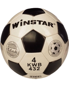 Футбольный мяч Winstar WN11010