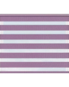 Рулонная штора Jalux День-Ночь Софт s 8 40x160