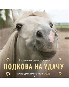 Календарь настенный Эксмо Подкова на удачу. 2026 год