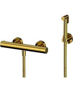 Гигиенический душ со смесителем Whitecross SYSYBI3GL