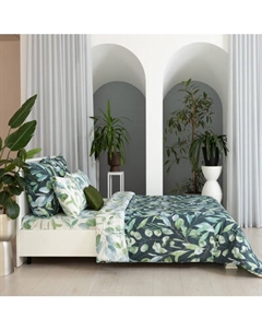 Комплект постельного белья Волшебная ночь Monsoon Евро ВН 2507 30159/1+30159/2