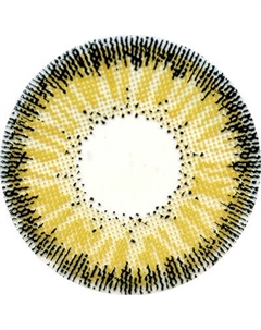 Комплект контактных линз Hera Classic Brown Sph-2.00