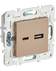 Розетка IEK Skandy SK-U22-D31-K98 Iek