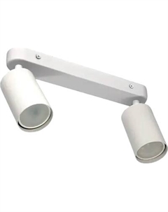 Спот Truenergy 21361