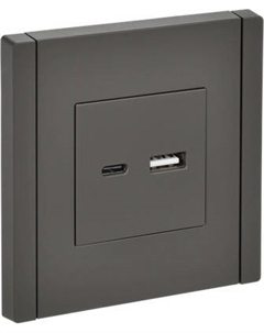 Розетка IEK Forte&Piano FP-U22-D31-K03 Iek