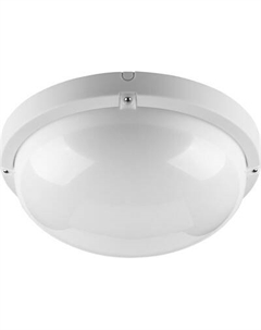 Светильник ЖКХ Wolta ДПП01-18-001-4К