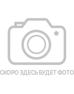 Автокресло Rant Spark Next Basic / ZY10