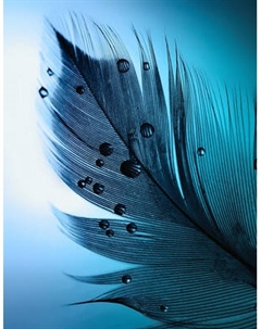 Фотообои листовые Citydecor Абстракция 230