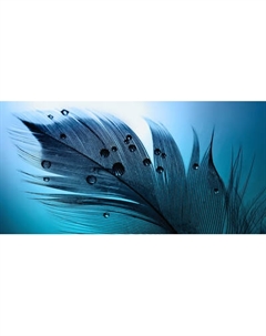 Фотообои листовые Citydecor Абстракция 230