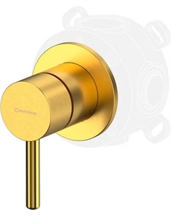 Смеситель Whitecross Y1241GLB