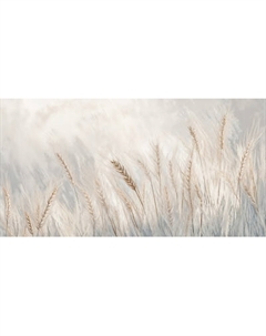 Фотообои листовые Citydecor Невесомость 45