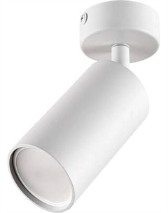 Спот Truenergy 21330