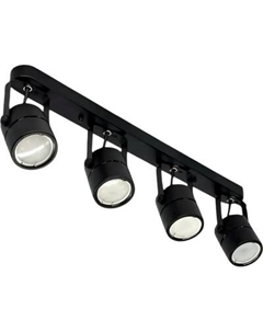 Спот Truenergy 21358