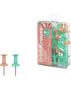 Кнопки канцелярские Erich Krause Pastel Bloom / 62061 Erich krause