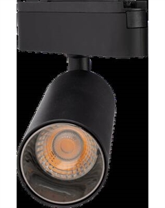 Трековый светильник JAZZway MTR16 2116 16Вт 3000К / 5056619 Jazzway