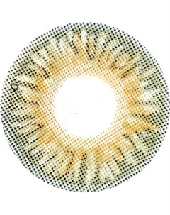 Комплект контактных линз Hera Premium Grey Sph-5.50