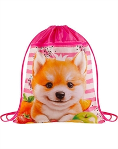 Мешок для обуви ArtSpace Cute animals / MSP_PK00002 Artspace