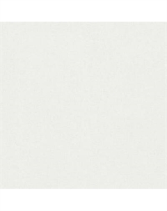 Виниловые обои Rasch 981155