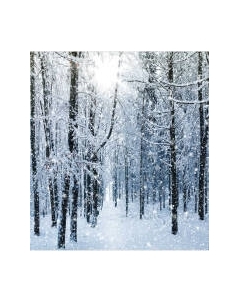 Шторка-занавеска для ванны JoyArty Лесные снега / sc_5751 Joyarty