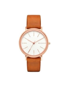 Часы наручные женские Skagen SKW2488