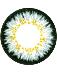 Комплект контактных линз Hera Paradise Grey Sph-5.50