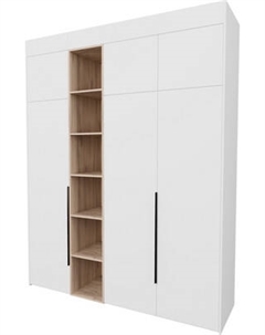 Шкаф Рэйгрупп Рэй S262-В8-2-EBЕ В8-2