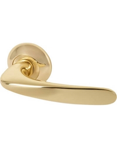 Ручка дверная Armadillo R.LD54.Pava GP/SG-5