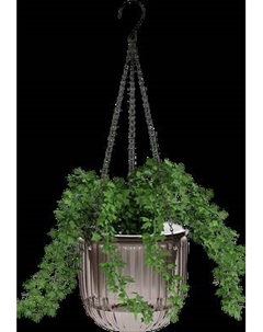 Кашпо BOTANICA Liana Botanica