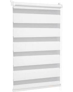 Рулонная штора Delfa Сантайм День-Ночь Стандарт D609