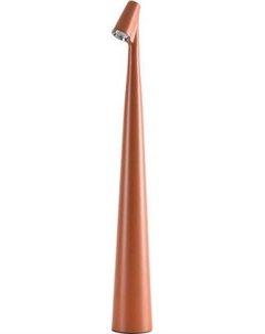 Ночник Arte Lamp A3283LT-2BR Arte lamp