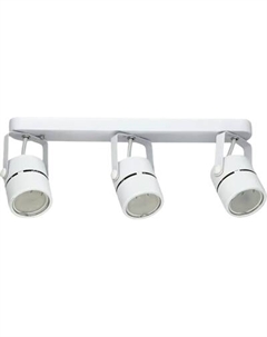 Спот Truenergy 21357