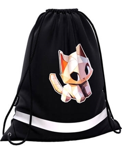 Мешок для обуви Erich Krause CatPix / 64944 Erich krause