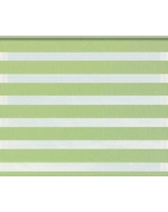 Рулонная штора Jalux День-Ночь Софт bh 1807 95x160