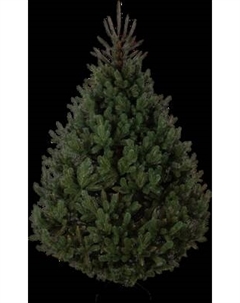 Сосна искусственная GreenTerra Босния Greenterra