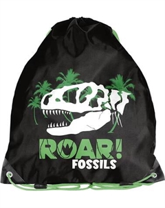 Мешок для обуви Paso PP24FS-712