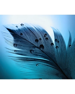 Фотообои листовые Citydecor Абстракция 230