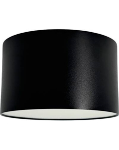 Точечный светильник Truenergy 11500