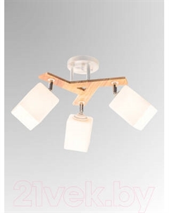 Спот Aitin-Pro НПБ 02-3x60-101 / N5291/3 Aitin-pro