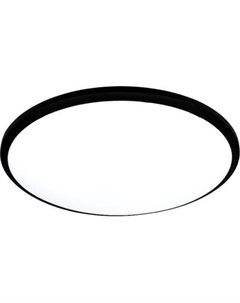 Потолочный светильник Truenergy 11605