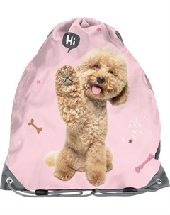 Мешок для обуви Paso PP24PU-712